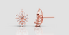 DEWDROP RADIANCE EARING