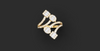 ECLIPSE CHARM RING