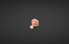 FLORAL NOSE PIN