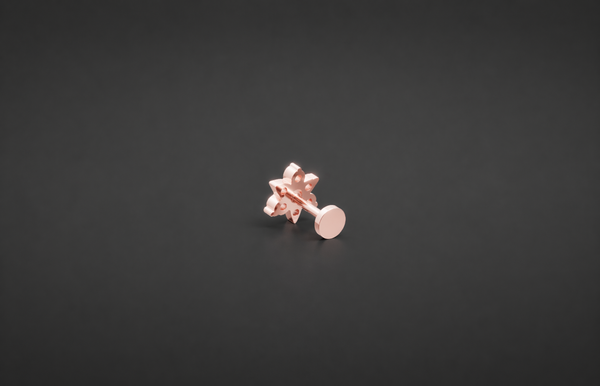 AURORA STAR NOSE PIN