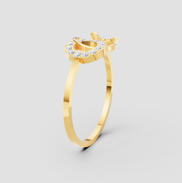 RAIDIANT LOOP DOUBLE CIRCLE RING