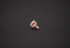 ETERNA CIRCLE NOSE PIN