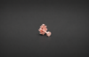 CELESTIA BLOOM NOSE PIN