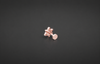 AURORA STAR NOSE PIN