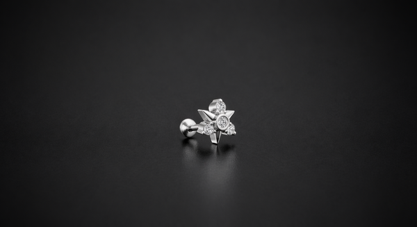 AURORA STAR NOSE PIN